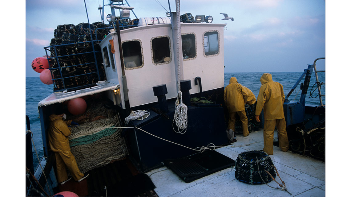 Trois pêcheurs de homards posent les casiers sur un caseyeur de Roscoff ; © Richard Nourry